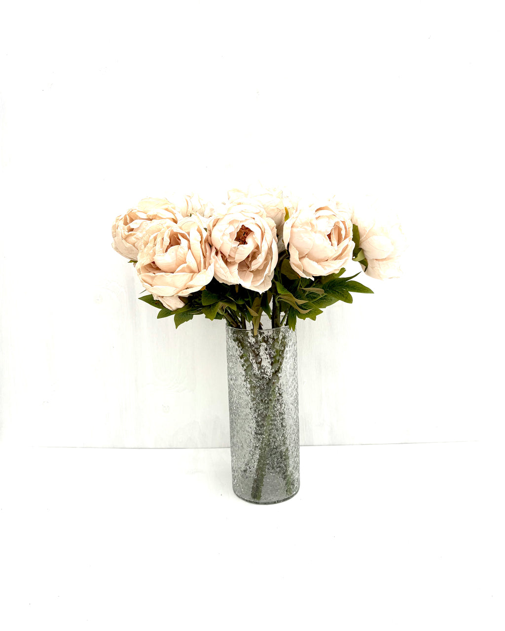 Pion Beige