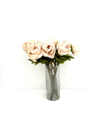 Pion Beige