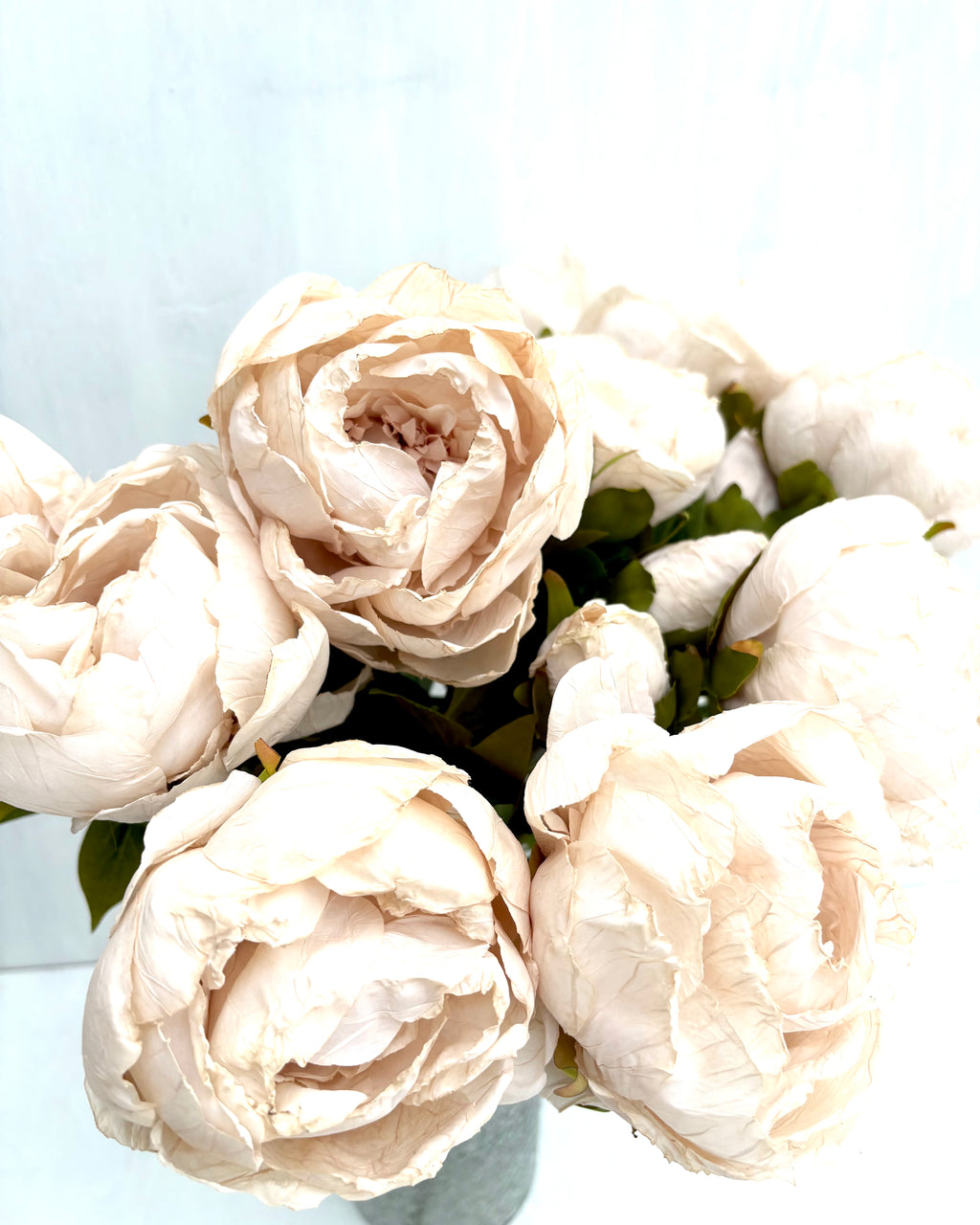 Pion Beige