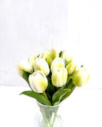 Tulpanbukett Vit
