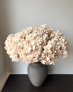 Hortensia Beige